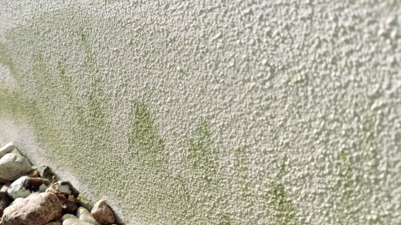 Gr&uuml;nbelag von Hauswand selbst entfernen (ohne Hochdruckreiniger)