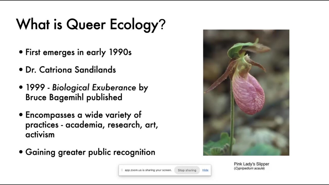TRCA Youth Council Virtual Town Hall: Queer Ecology