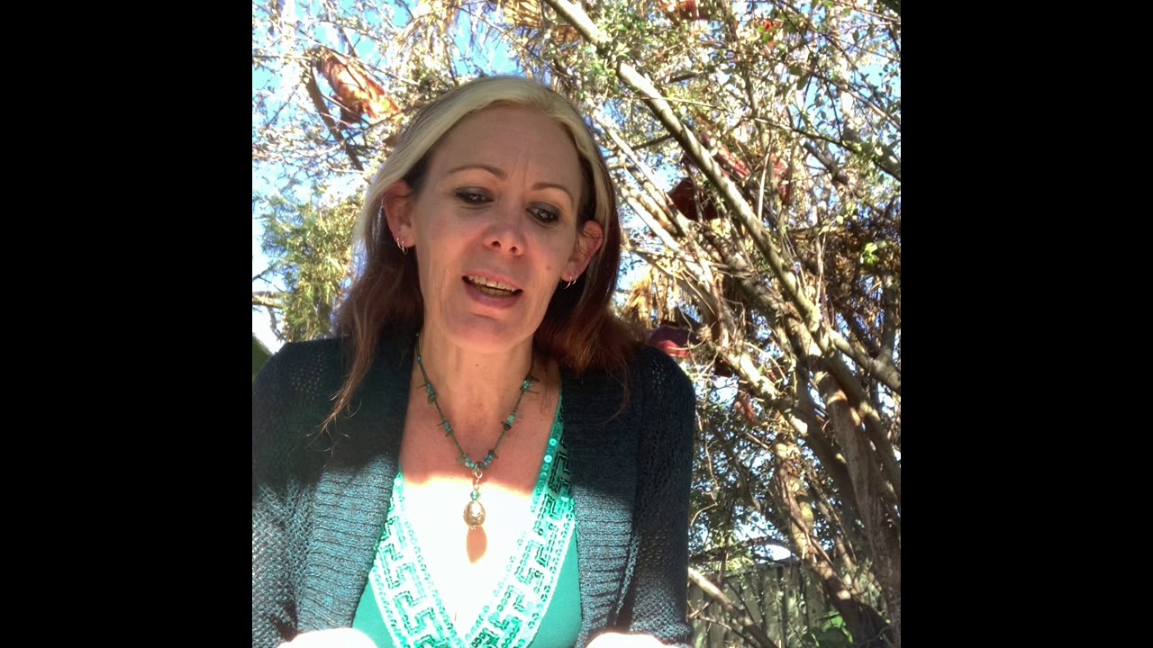 Yule in the Southern Hemisphere