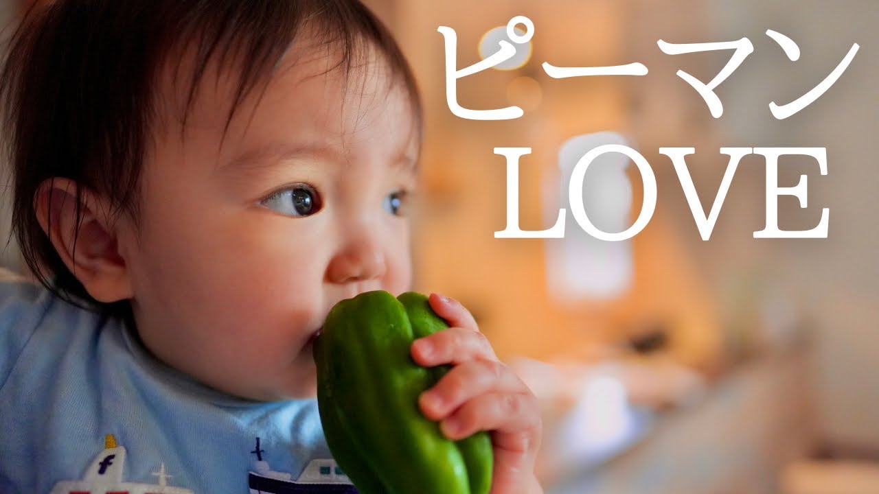 【離乳食】ママの手料理を大絶賛！からの夫婦喧嘩？！初めてのピーマンで大波乱！