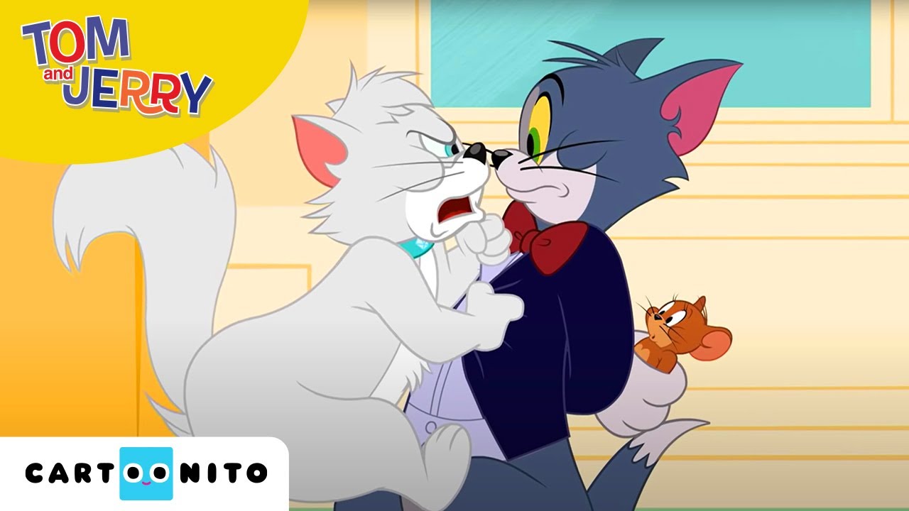 Tom and Jerry | Muizenjacht | Cartoonito