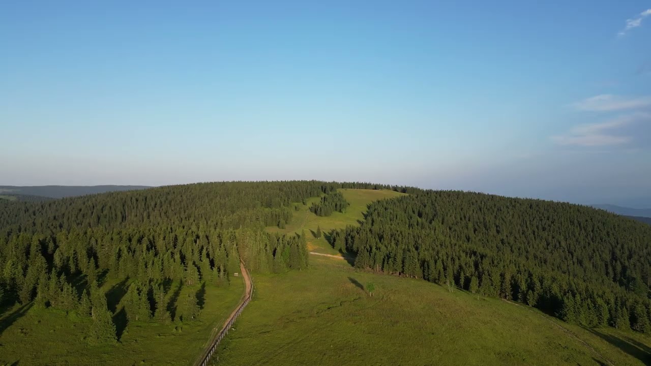 Črni vrh, Pohorje - 8.07.2023