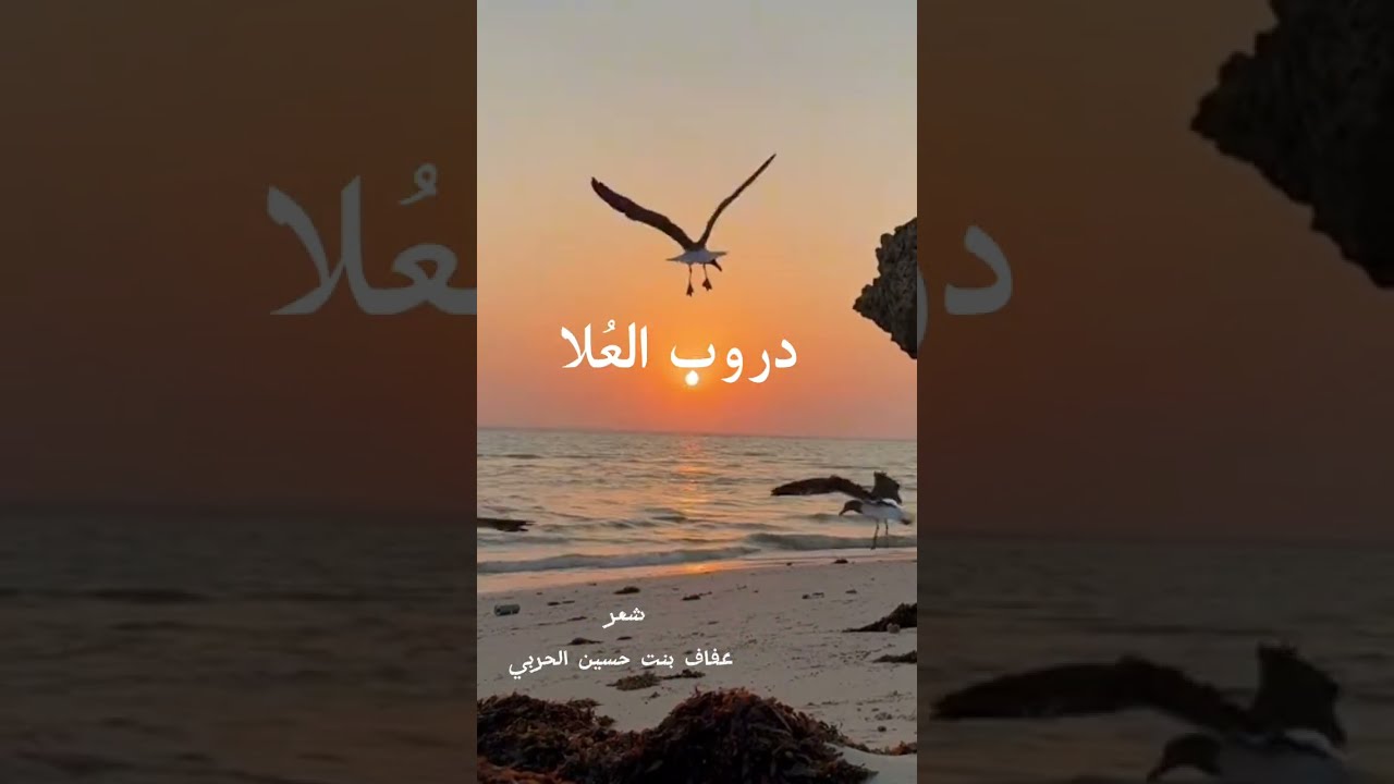 دروب العلا - إنشاد 