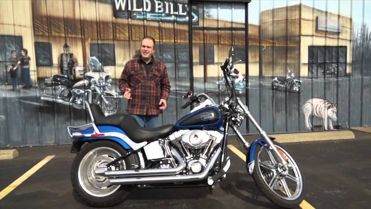 Harley-Davidson Softail Custom FXSTC 2010 года выпуска