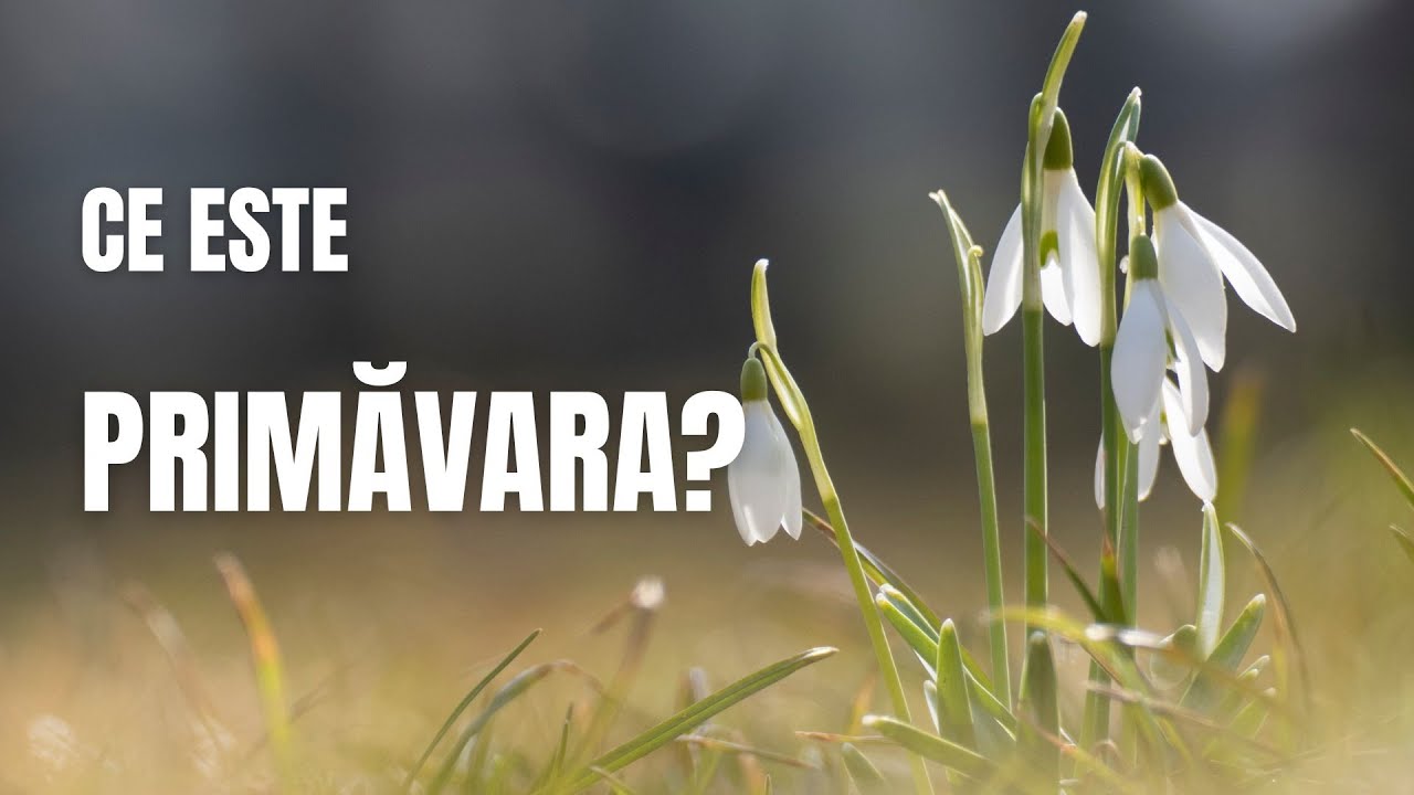 Ce este PRIMĂVARA?