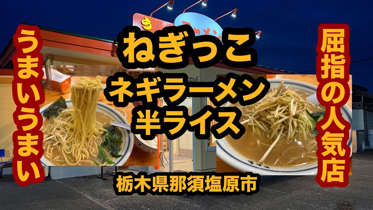 【栃木グルメ】ラーメンねぎっこ（那須塩原市）市内屈指の人気店でネギラーメン中盛り＆半ライス