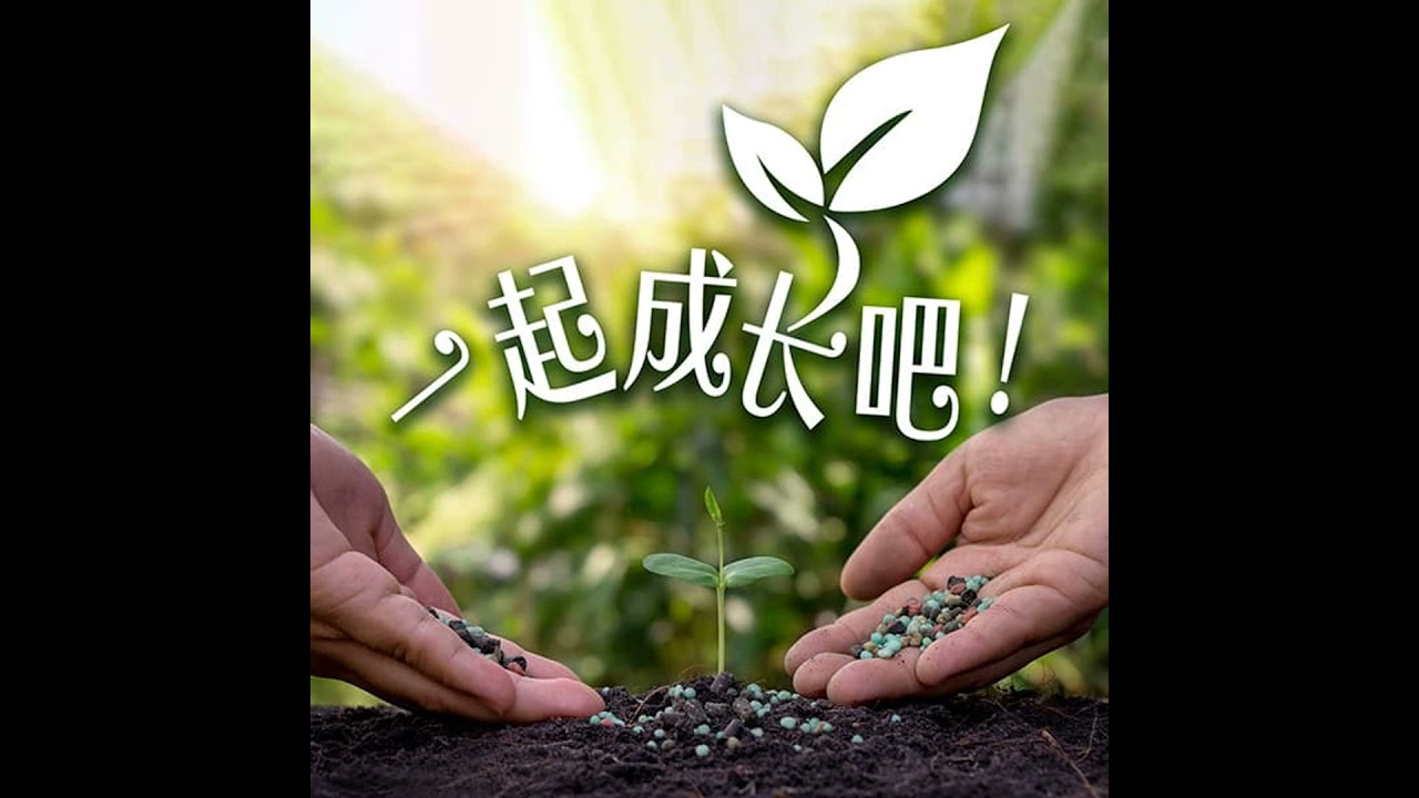 26年03月18日 一起成长吧！