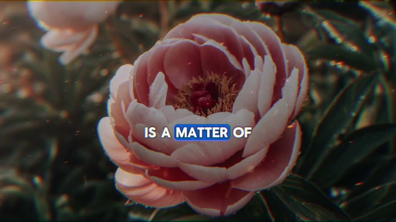 “The Battle of Love: Arranged Marriage vs. Dating; Max Amini Settles the Debate"