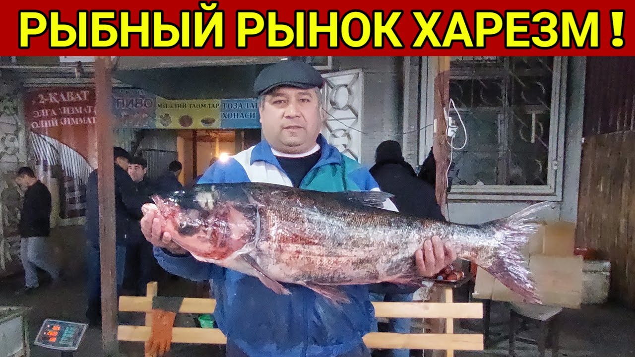 ХОРАЗМ УРГАНЧ БАЛИК БОЗОРИ 2021г ХОРАЗМ БОЗОР.