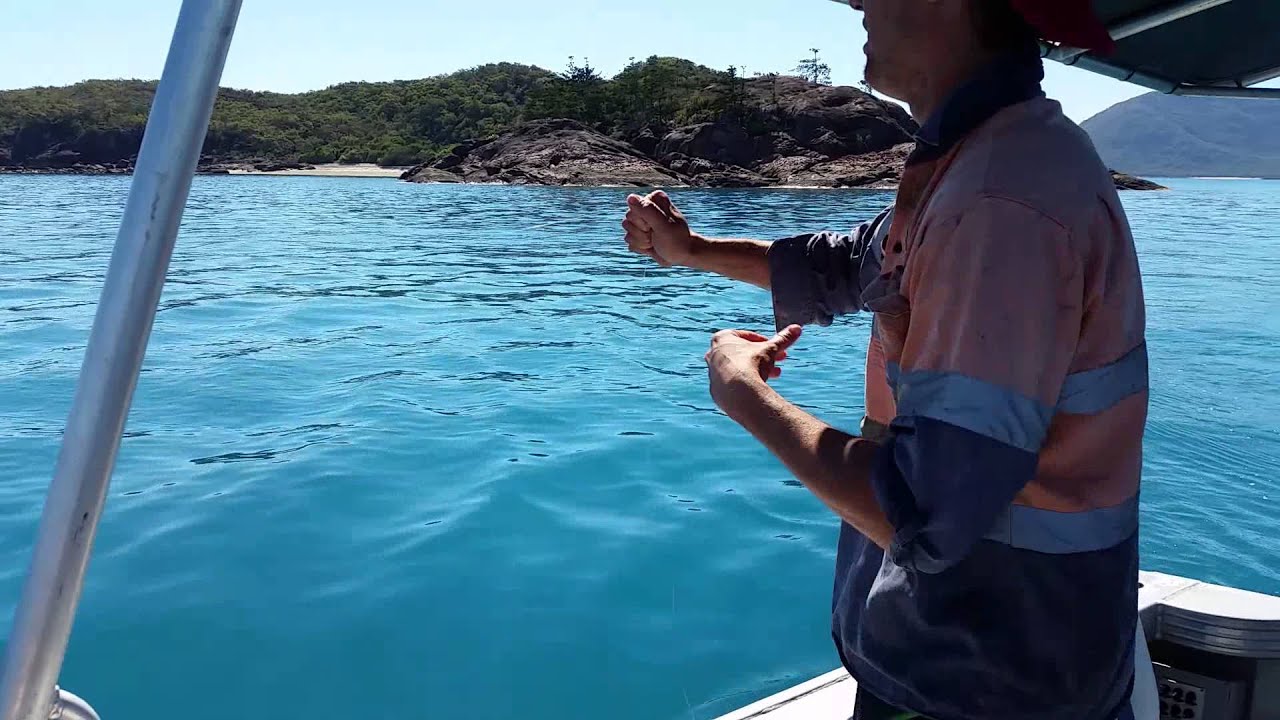 Marlin On A Handline Whitsundays