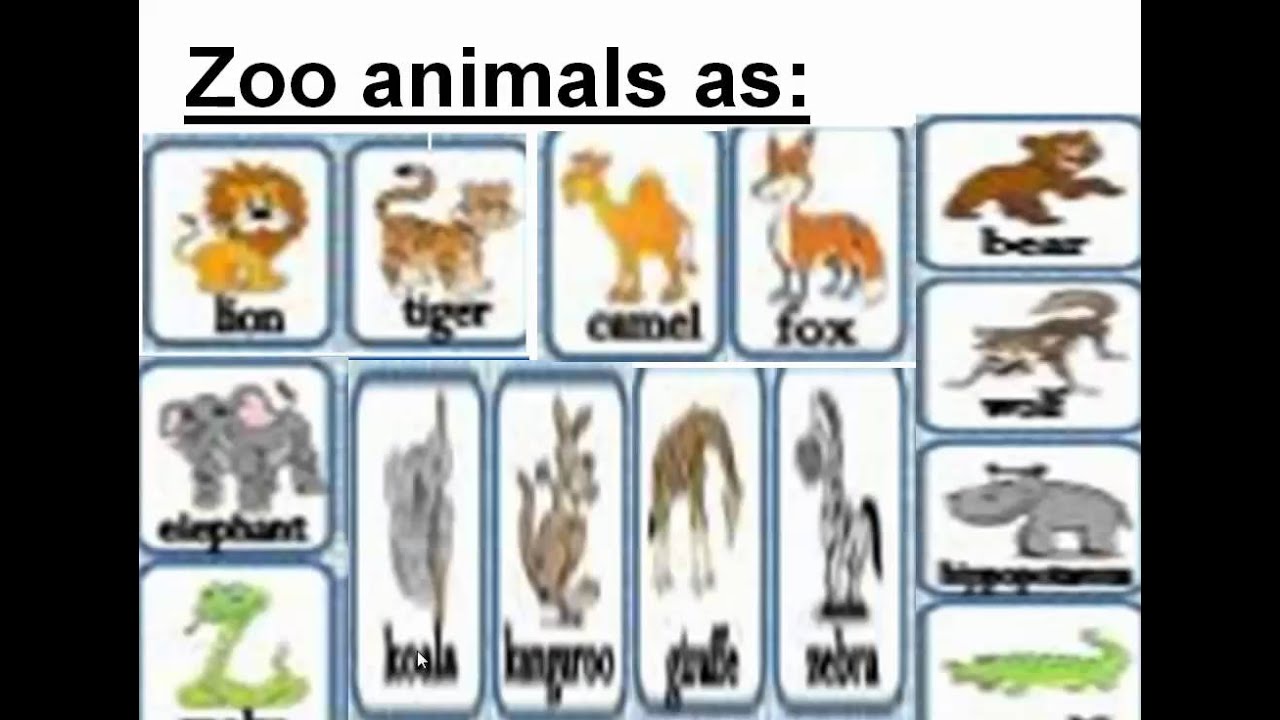 KG2 