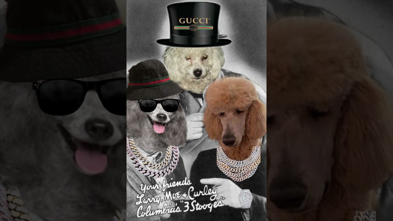 Billion Dollas ft. ATM Lavant and Lil Tenujji - 3 Poodles