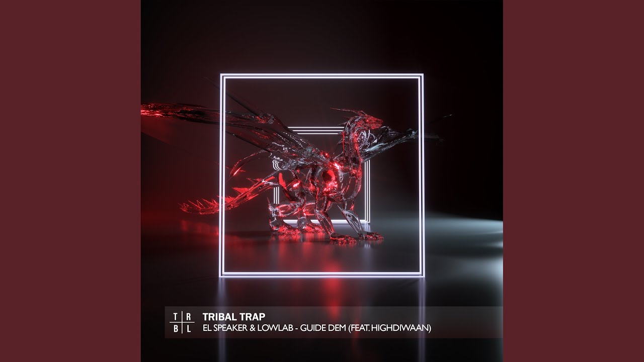 Guide Dem (feat. Highdiwaan)