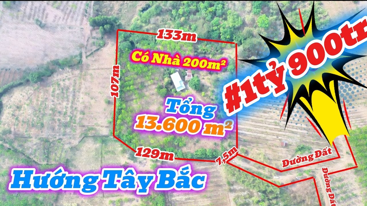 (71) 1ty900tr | Vườn Cao Su và Sầu Riêng 13.600m² Có Nhà 200m² LH 0867251968 #bdsbinhphuoc