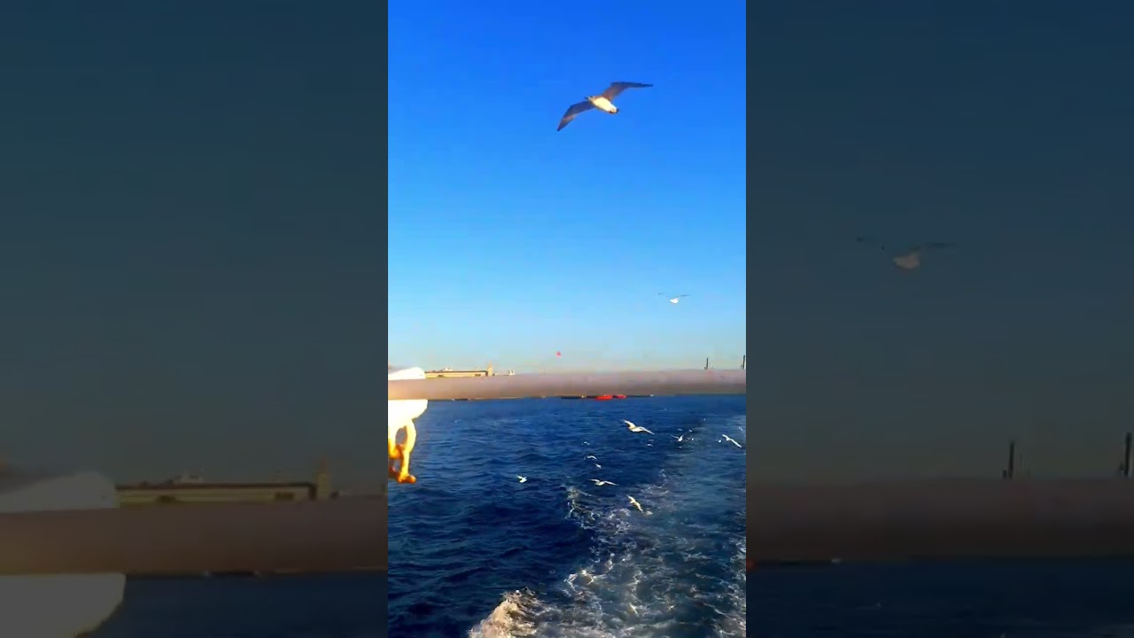 The sea transportation in Istanbul is the most beautiful ever ❤🇹🇷