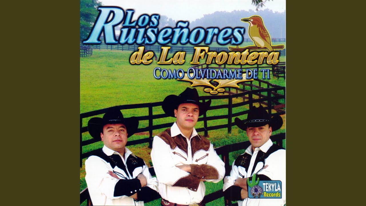 Vestida de color de rosa