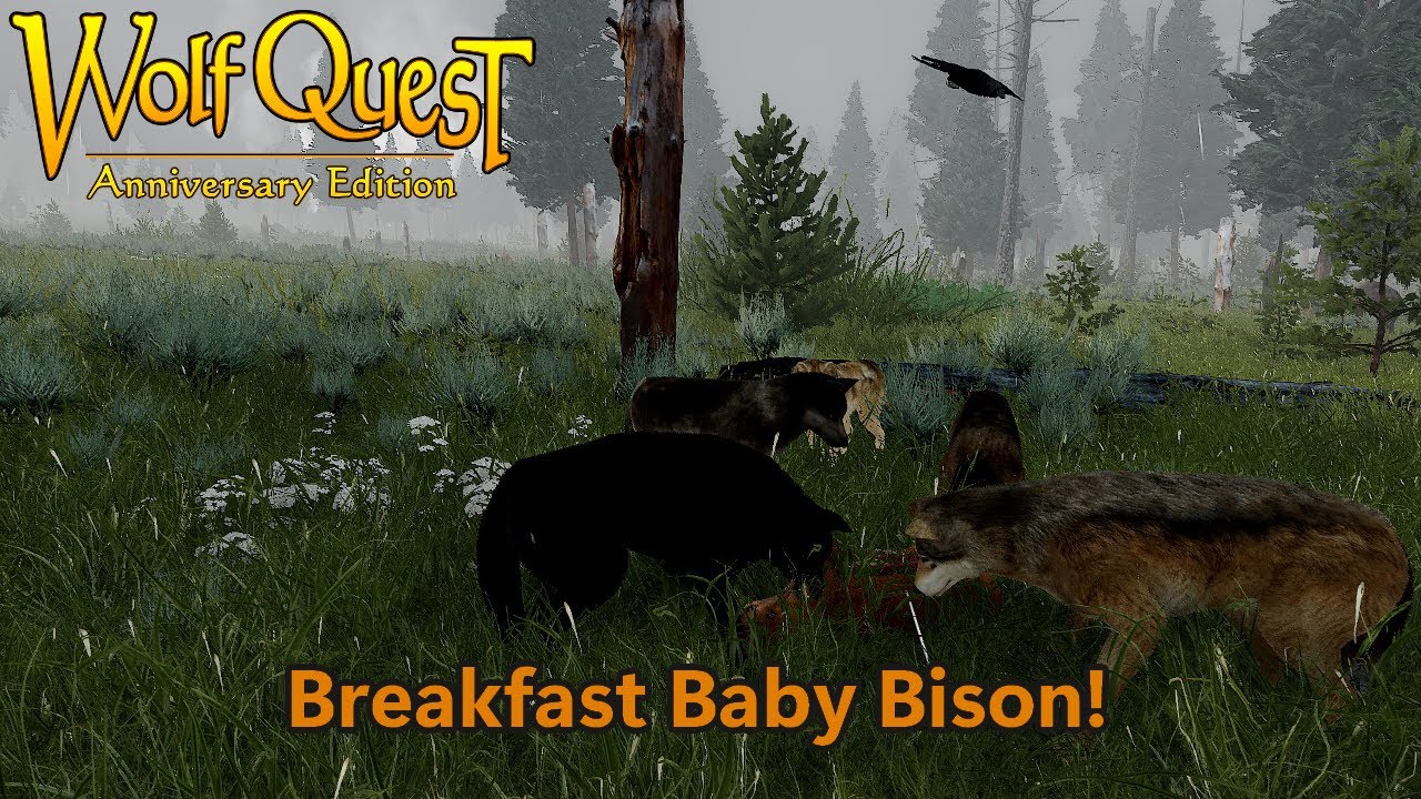 Wolfquest AE - Saga: Finally caught that Baby Bison...