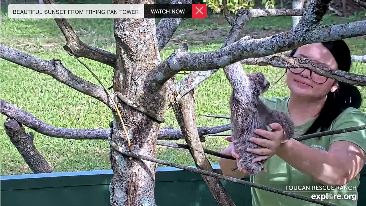 2023 08 06 Nazareth with Baby Sloth Robin