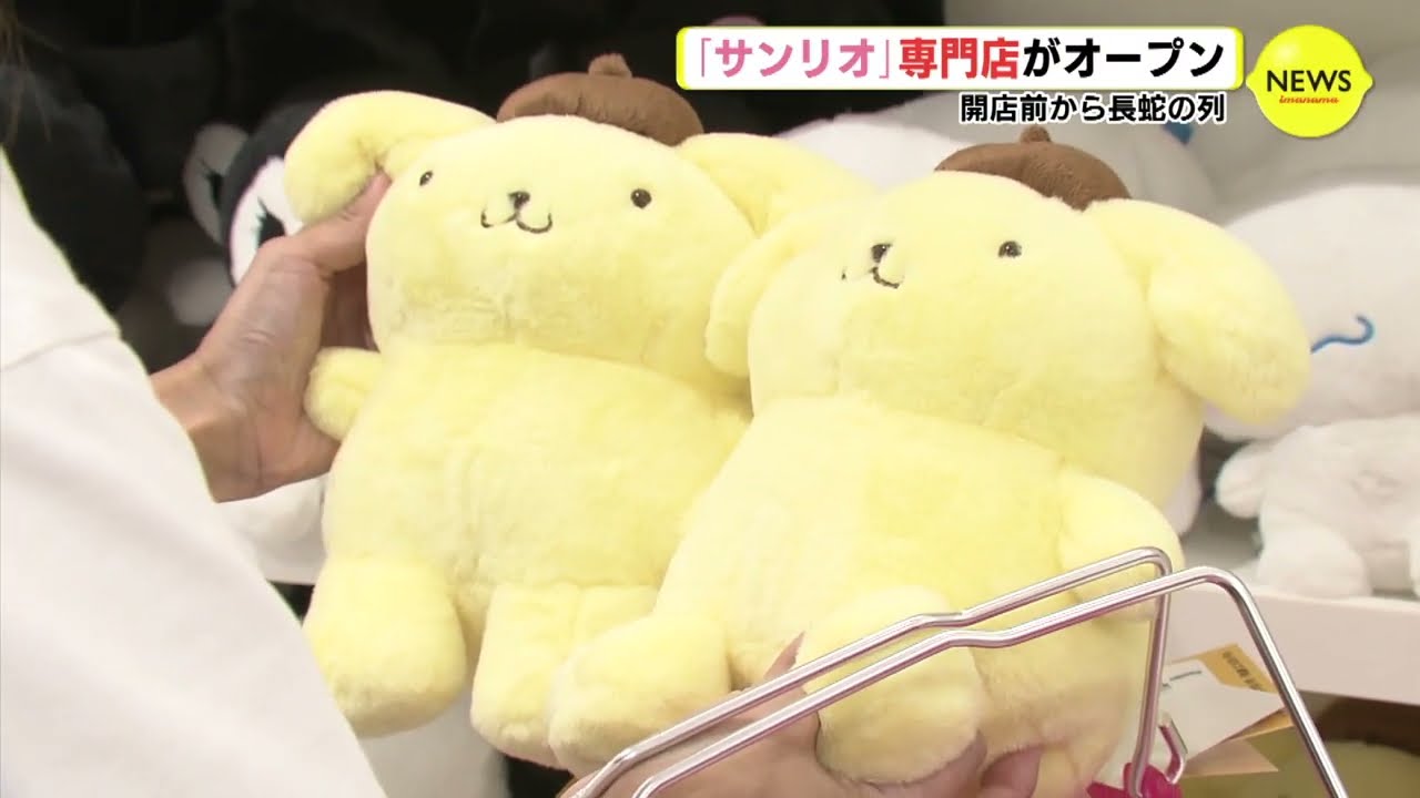 サンリオ専門店がオープン　開店前から長蛇の列　“ぬい撮り” コーナーも【広島新店オープン】