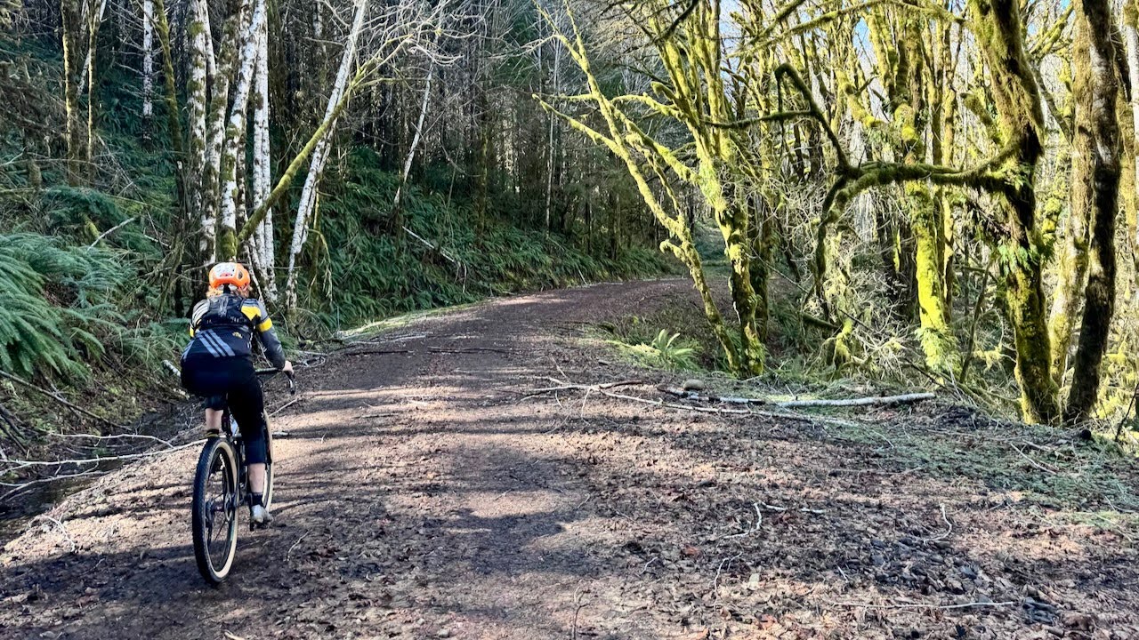 Alder & Iron (Gravel Bike Ride / ~ Corvallis, OR)