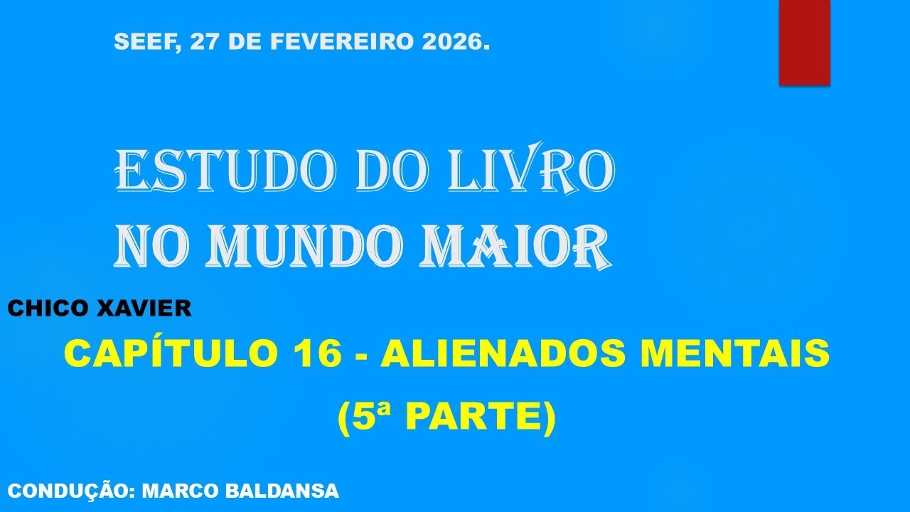 NO MUNDO MAIOR - CAPÍTULO 16 - ALIENADOS MENTAIS
(5ª PARTE)