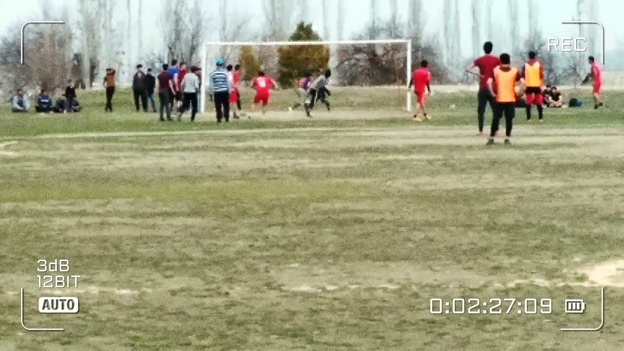 Кучкина  ТВ  #3