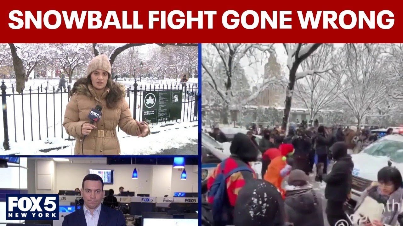 Deep dive into what happened during NYPD snowball chaos; 4 suspects wanted