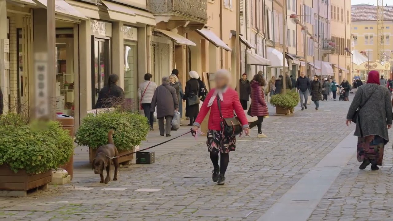 Carpi raccontata dai numeri: un ritratto della popolazione