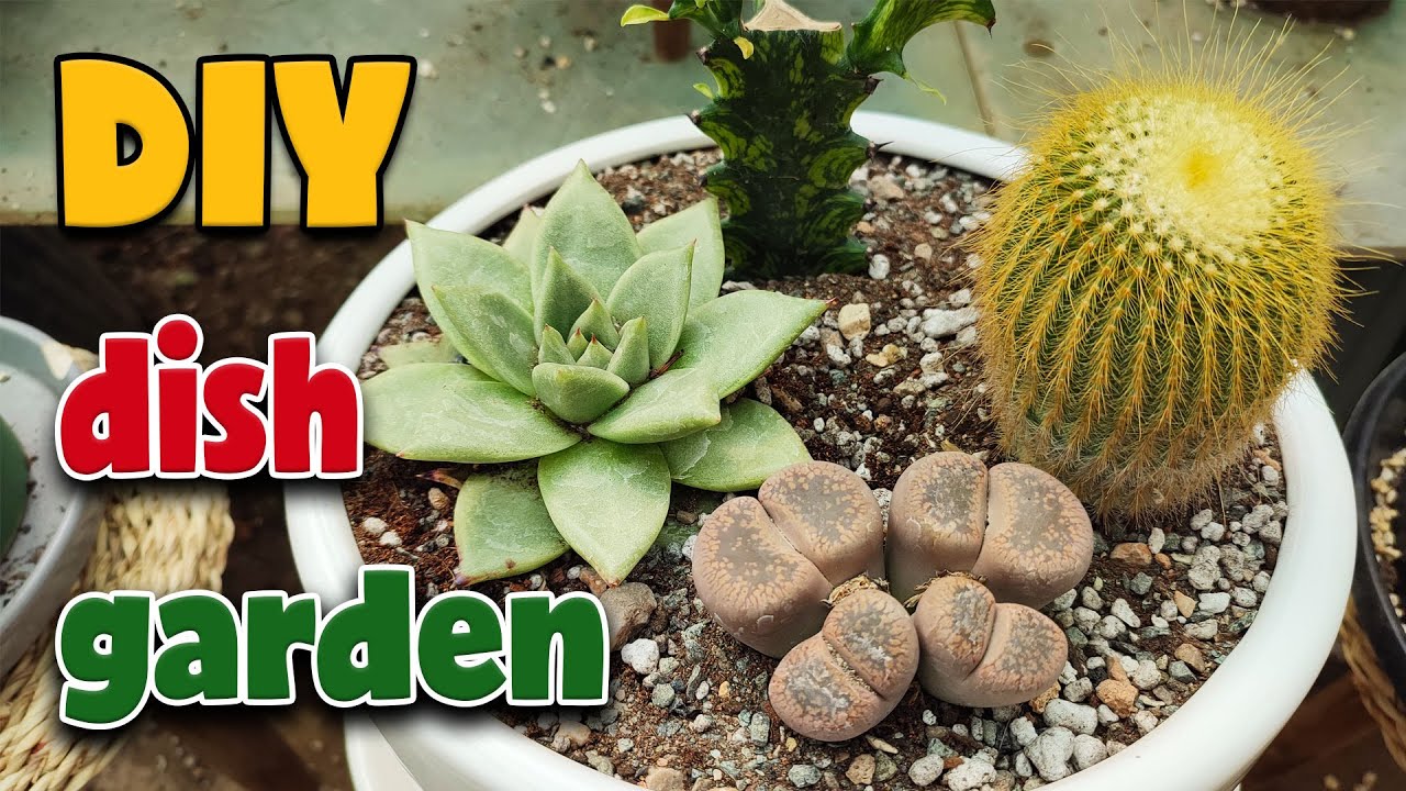 How to Make a Beautiful Dish Garden | Step-by-Step Guide