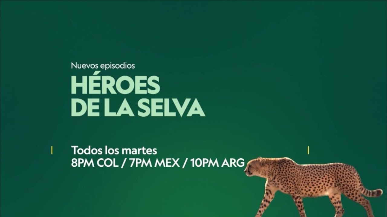 Tandas Comerciales Nat Geo Wild HD Latinoamérica - Marzo 2020