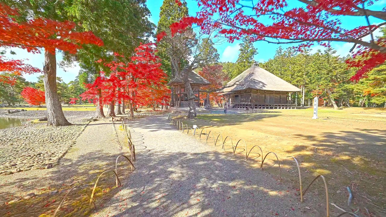 Прогулка и полёт на красными клёнами Хираидзуми・4K HDR