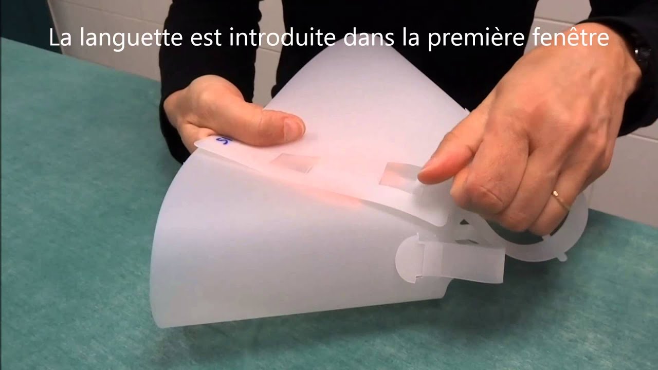 Mettre un carcan &agrave; un chien ou un chat