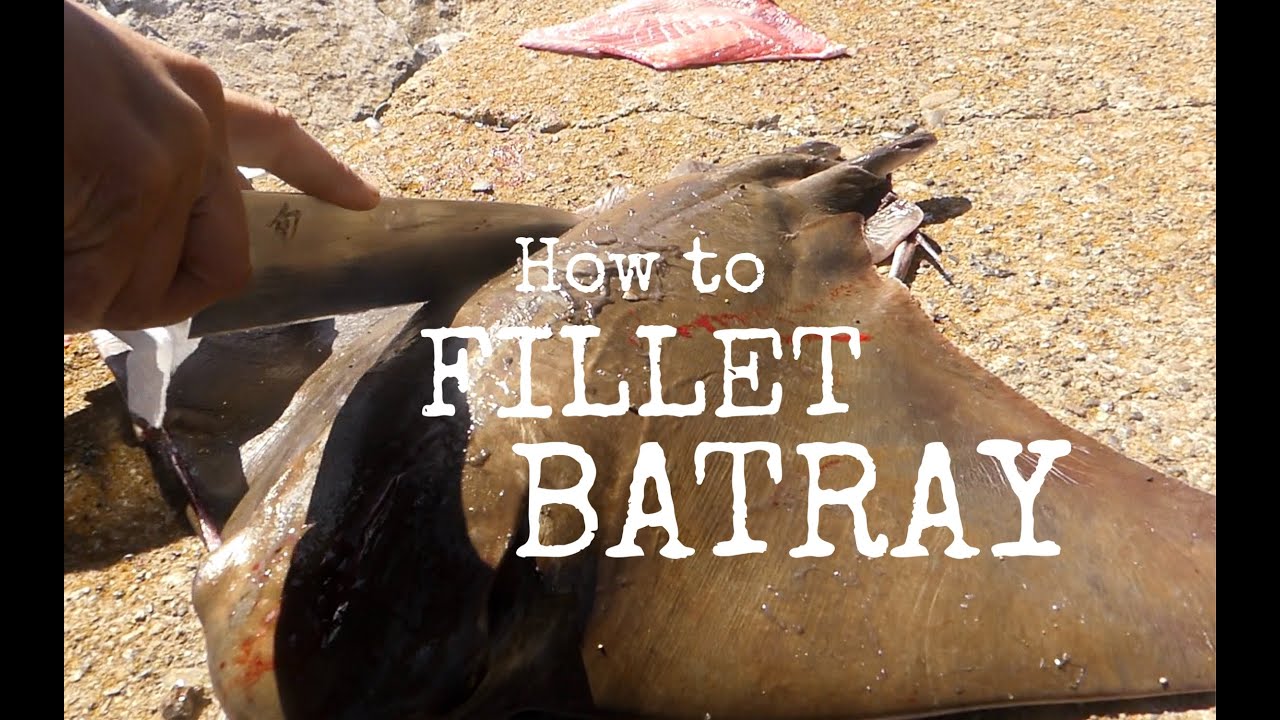 Catch and Cook BATRAY! Delicious Recipe!!