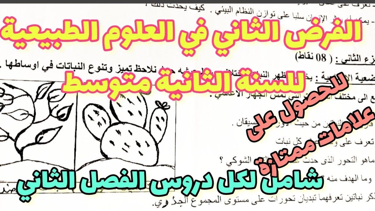 الفرض الثاني في العلوم الطبيعية للسنة الثانية متوسط رقم 8