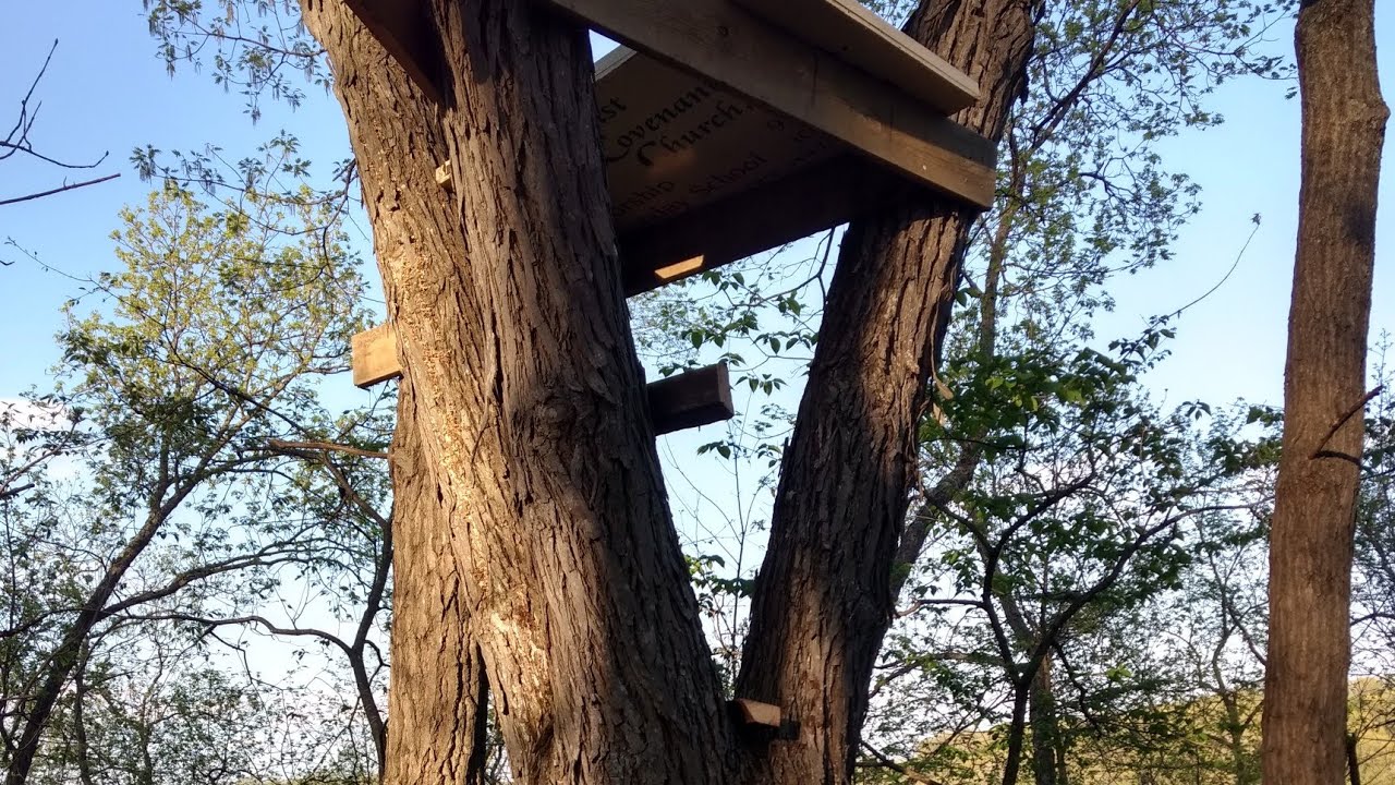 2 Hour Tree stand Build!