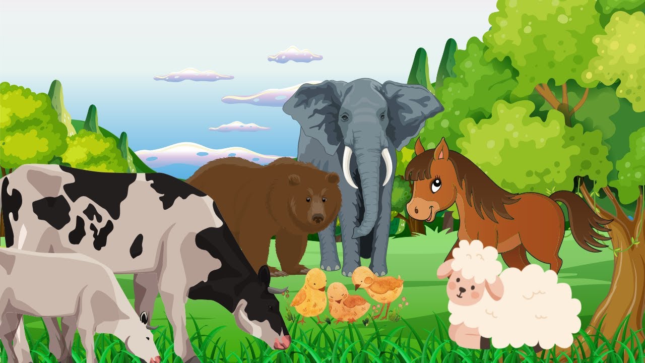 Learn about Playful Animal Behavior with Cows, Sheep, Bears, Horses, Chickens, and Elephants