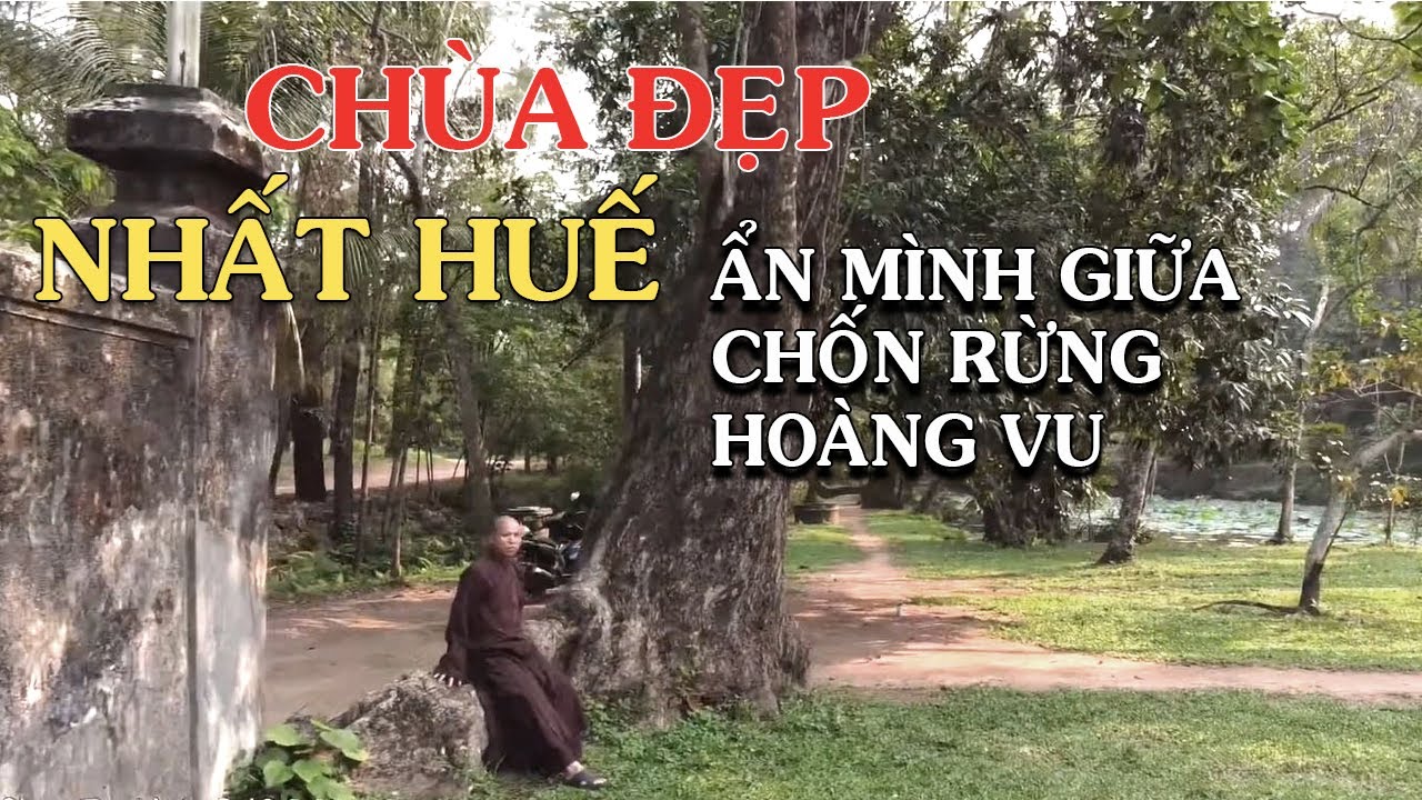 Chùa Từ Hiếu Sau Trùng Tu – Vẻ Tĩnh Lặng Ẩn Mình Giữa Rừng Thông Huế