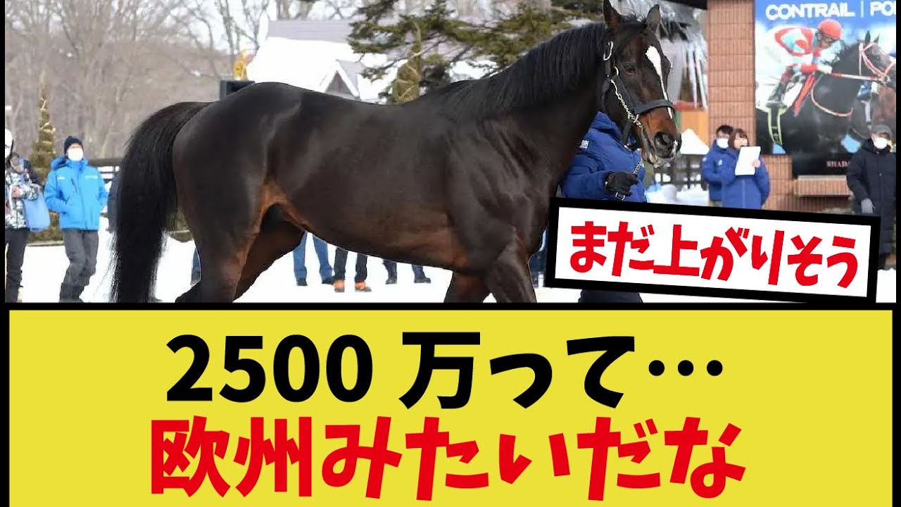 「種付け料のインフレヤバくね？」に対するみんなの反応集