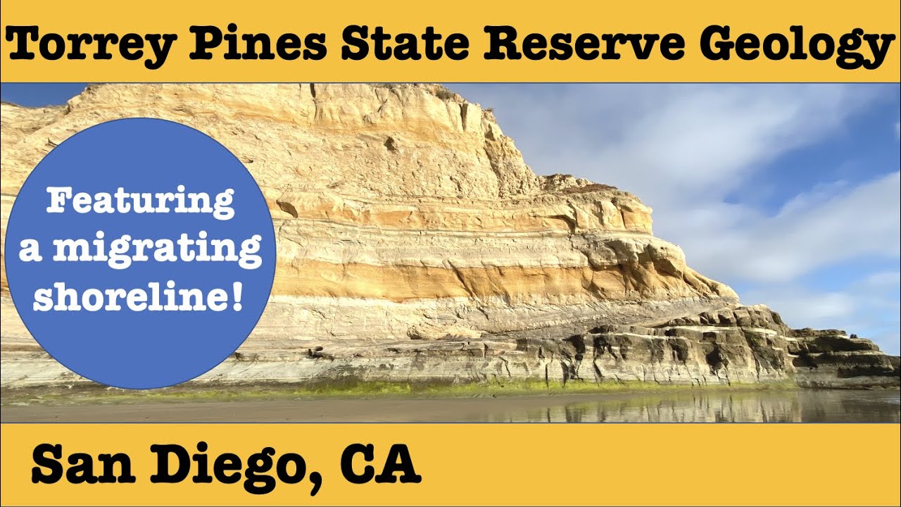 Torrey Pines State Reserve Geology | Migrating Shoreline