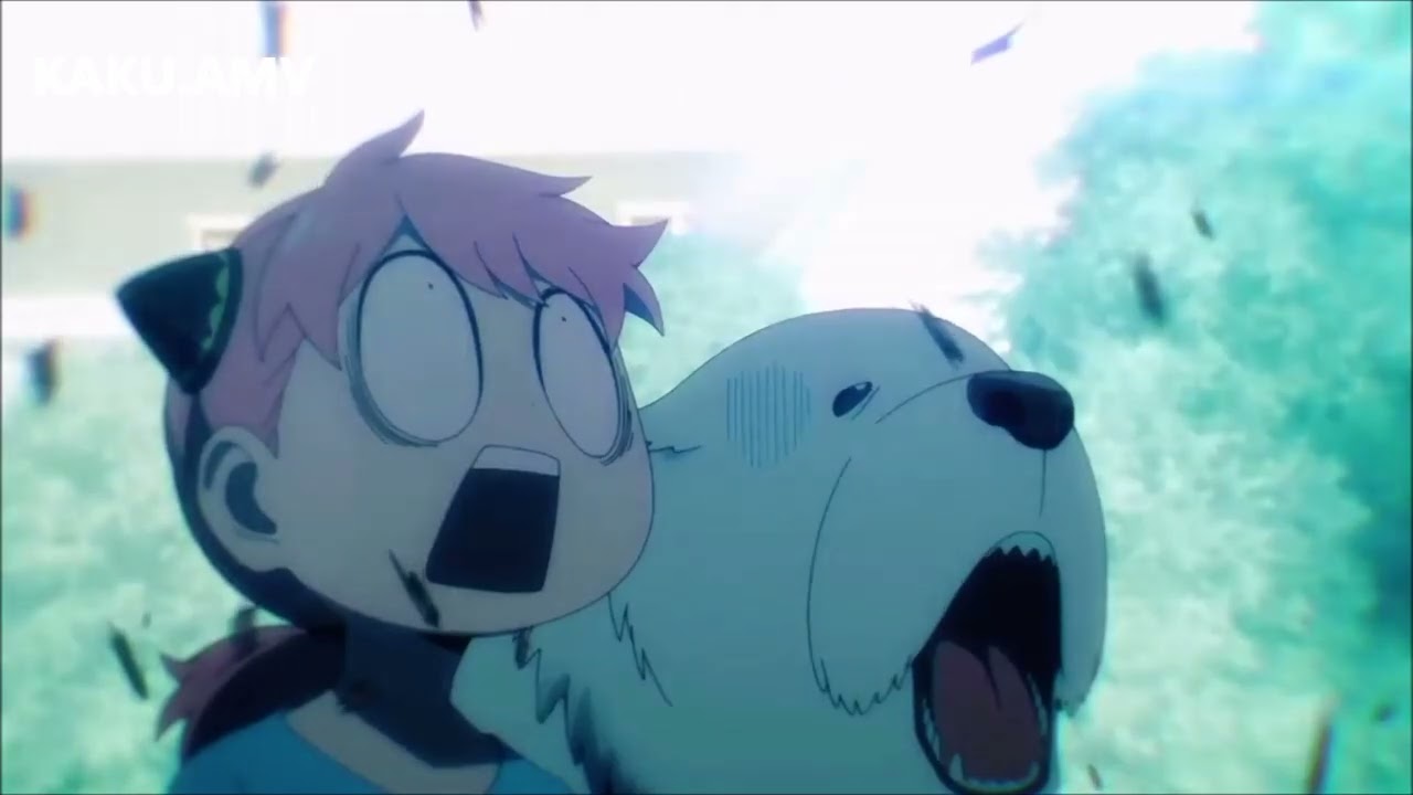 Neki - misaki suda  (SPYxFAMILY) AMV