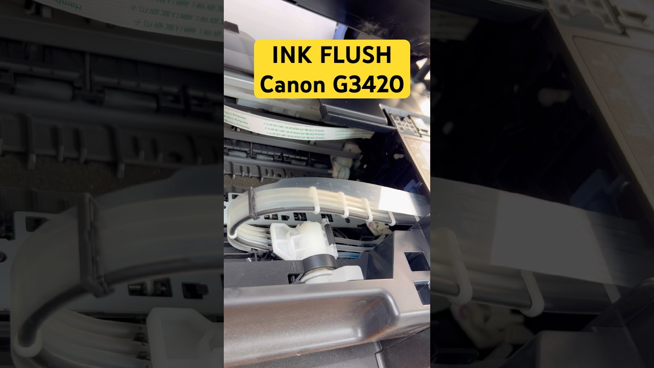 Canon G3420 Ink Flush | Print Head Cleaning