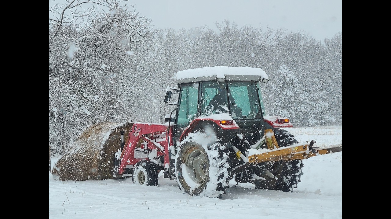 Farm Snow Scenes January 2025