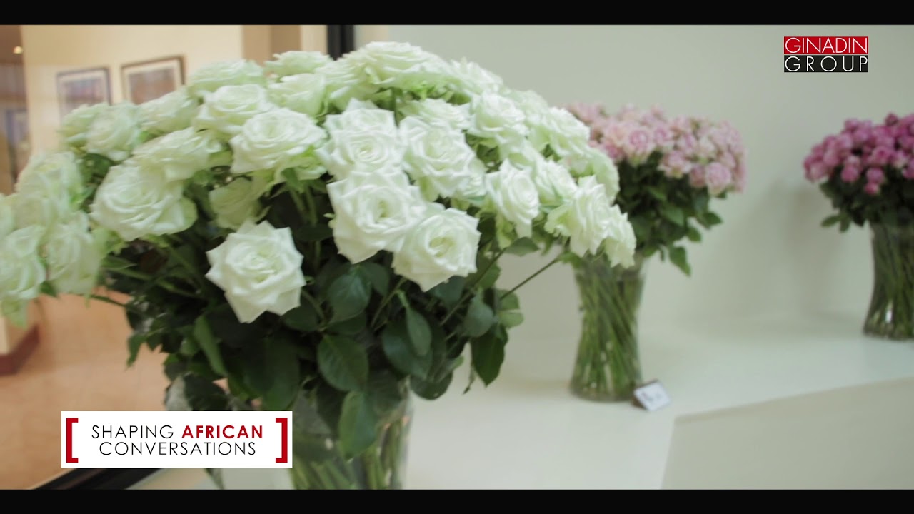 INTRODUCING THE OBAMA ROSE | GINA DIN GROUP