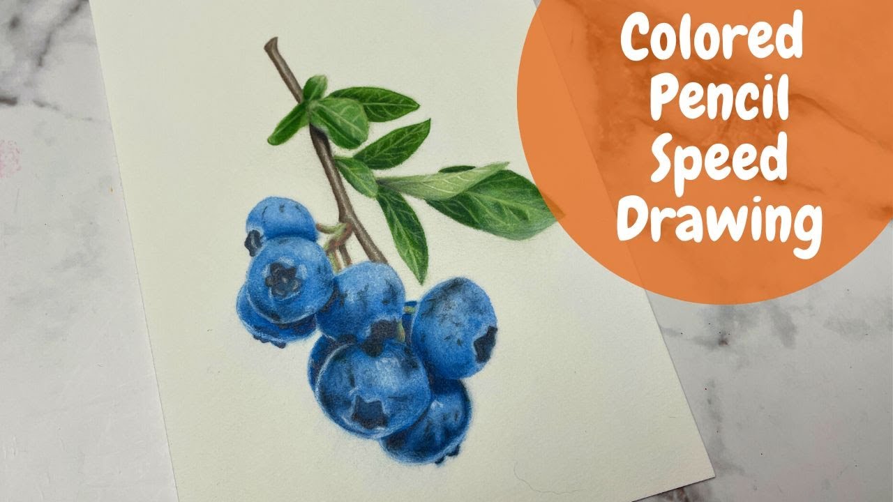 Colored Pencil Speed Drawing | Blueberries With Colored Pencil