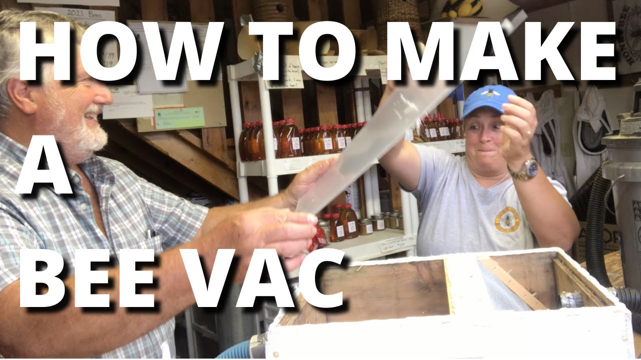 How to make a bee vac