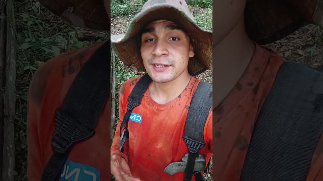 Un ingeniero en el campo o chacra: Agricultura desde 0
