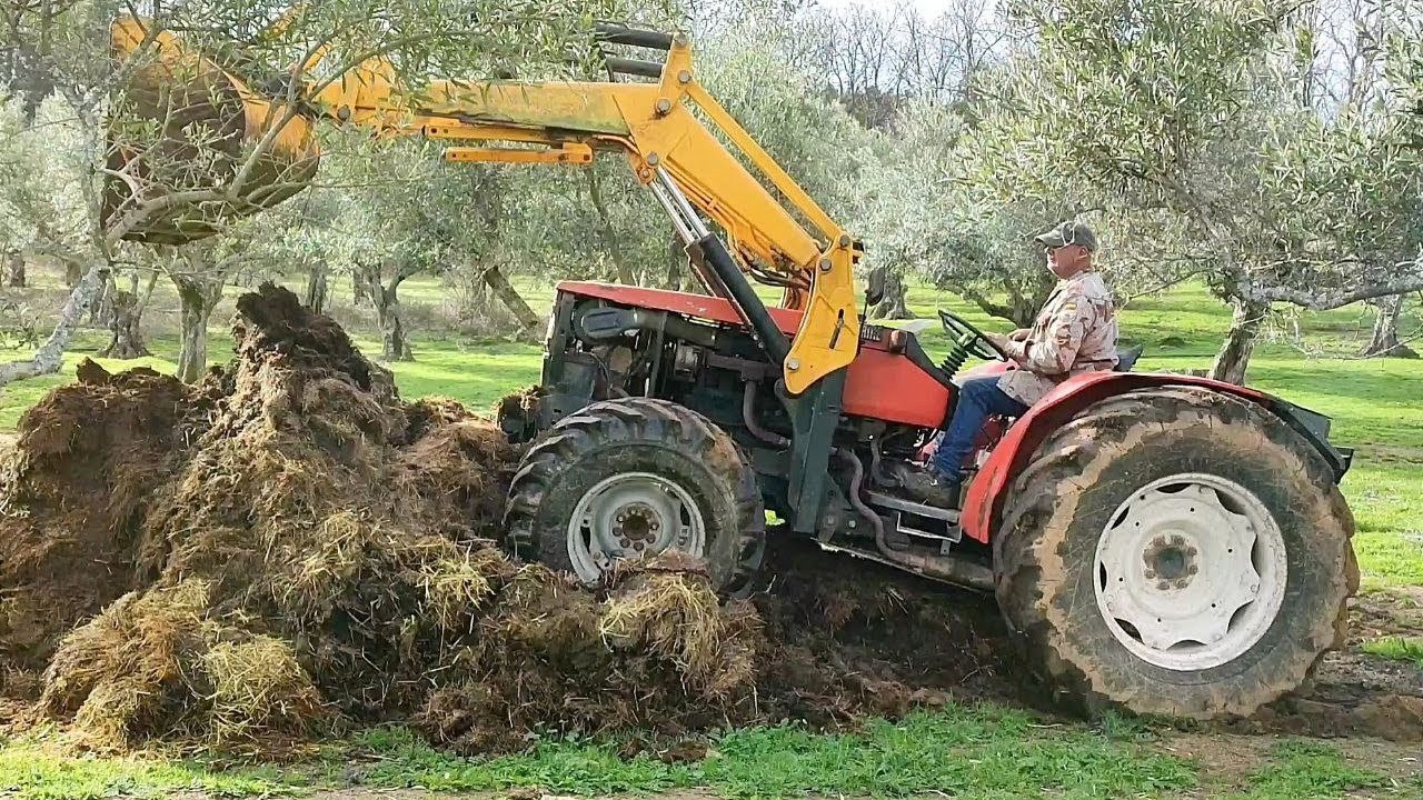 Ahora toca darle caña pa sacar el estiércol y dejar la nave prepará