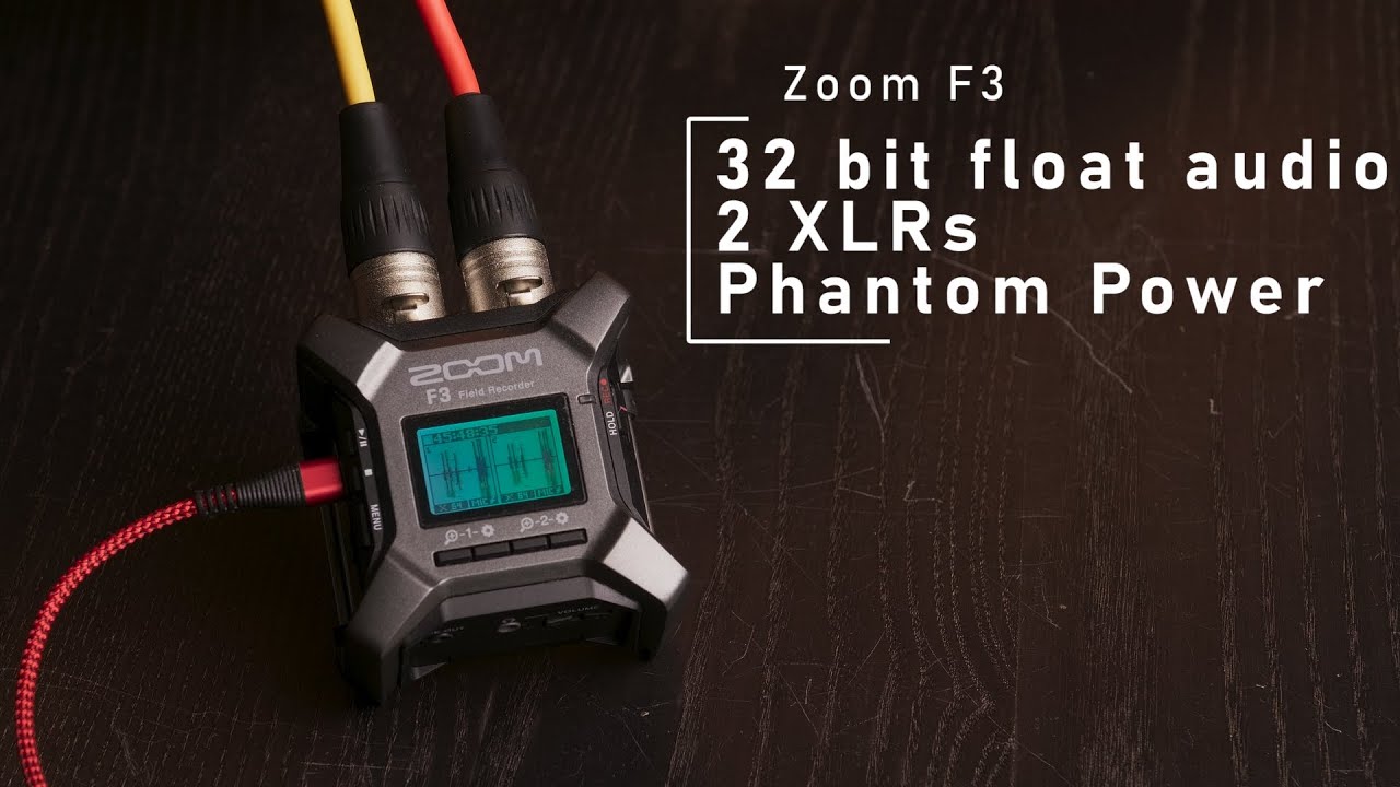 Zoom F3: 32 bit float audio, XLRs, phantom power, I LOVE IT!