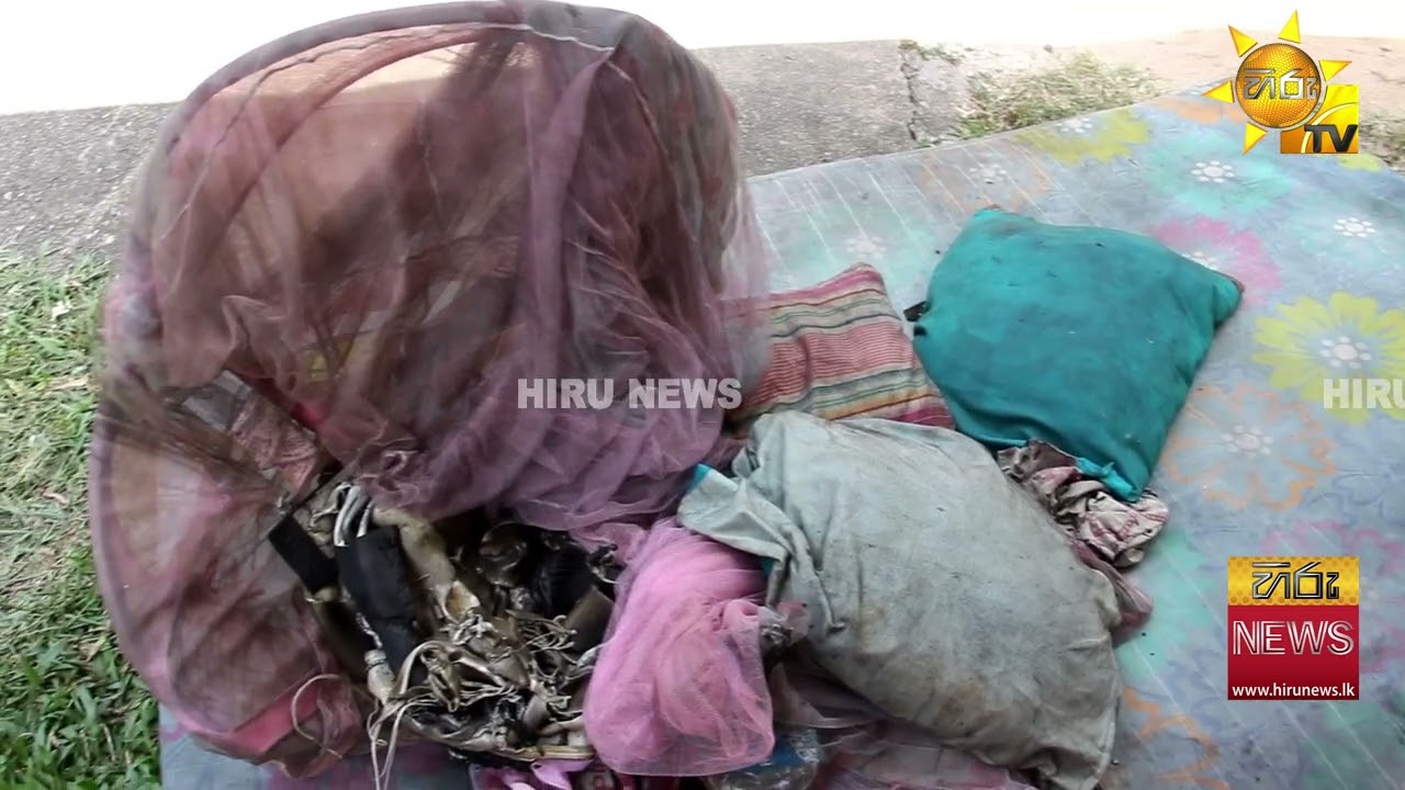 වේයන්ගොඩ නිවසක ගින්නක් - කාන්තාවක් මරුට - Hiru News
