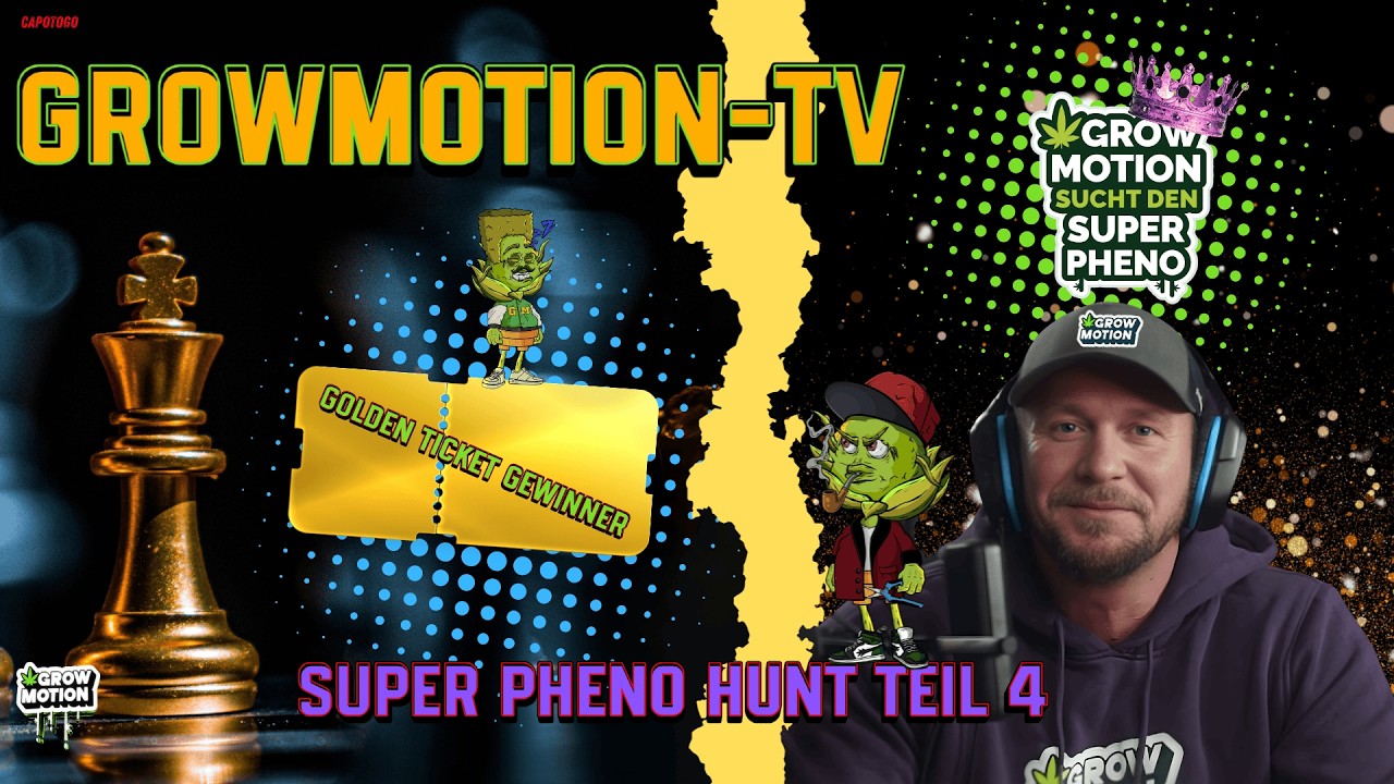 Super Pheno-Hunt Teil 4 I GrowMotion sucht den Super Pheno